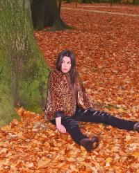 Autumn leaves