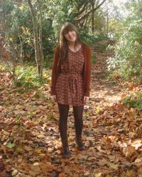 Autumn Path