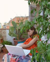 book, terrace, cat