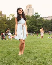 Sheep's Meadow Picnic