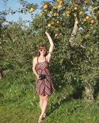 apple picking in ohio