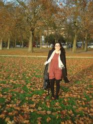 Fallen leaves of Hyde Park