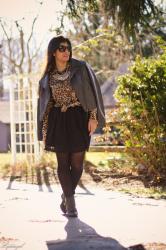 Leopard, Lace, & Leather