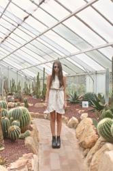 desert glasshouse