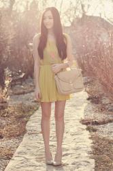 Sunlight Infused