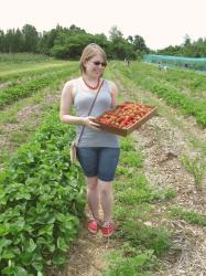 strawberries!