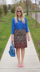 Cobalt & Ombre