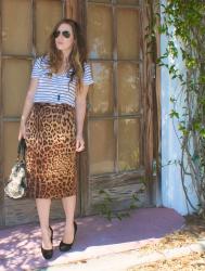 Leopard and Stripes