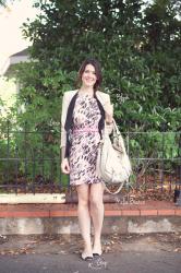 Case of the Vanishing Dress