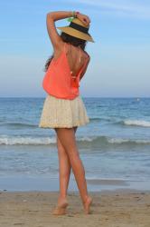 ALONG THE SEASHORE