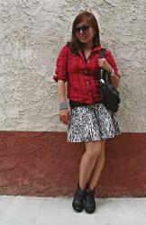 Flannel Shirt, Animal Print Skirt and a Dirty Car