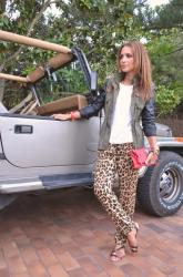 Leopard & Military