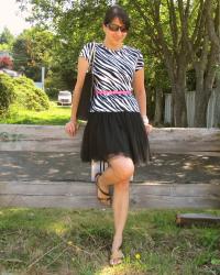 Hot Pink Zebra Ballerina Train of Thought