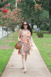Pumpkin Colors (Autumn Is Approaching)