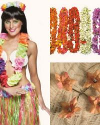 Hawaiian Facy Dress Ideas