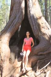 Yosemite & Sequoia Parks