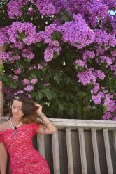 Bougainville