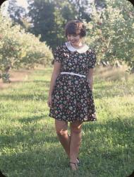 Apple Hill Orchard.