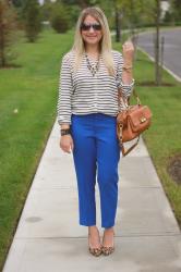 Stripes, Blue, & Leopard