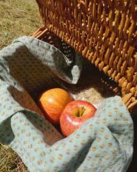 Picnicking on the Green