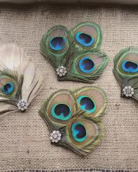 Peacock Hair Clips for a Wedding