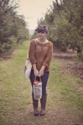 Apple Picking