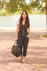 6 novembre 2012