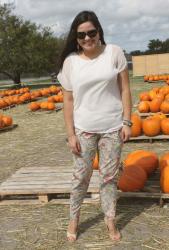 Pumpkins + Glitter Heels =Cinderella