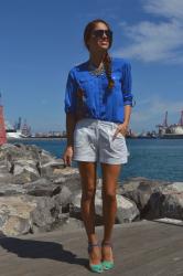 Look 173- Blue in Autumn