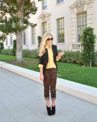 Skinnies By Loft