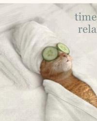 RELAX TIME
