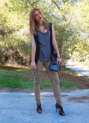 My new leo obsession!