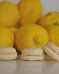 Lemon macarons