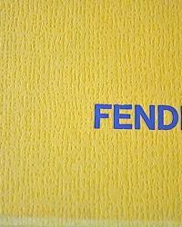 Fendi winter new in