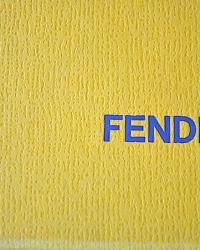 Fendi winter new in