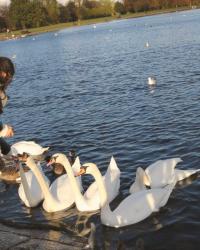 London #5 (in hyde park with the bike)