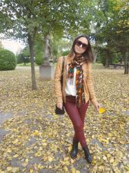 Burgundy pants