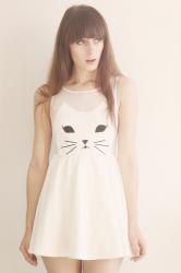 Kittycat