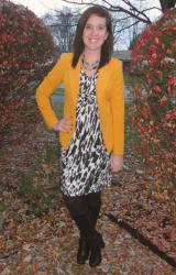 Mustard and Snow Leopard