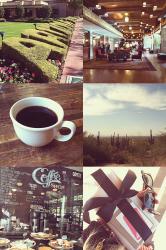 Snaps From This Early November 