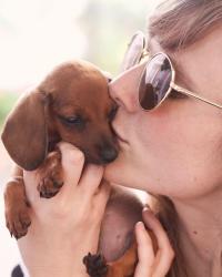 polka dots and puppies.