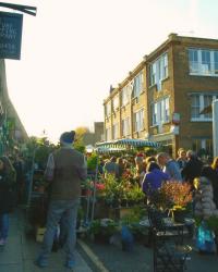 Columbia Road Flower Market