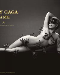 Lady Gaga Fame