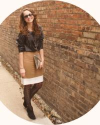 dotty, white stripes, and pencil skirt collections