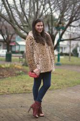 {outfit} Leopard, Alexander Wang and Bloggers, Oh My!