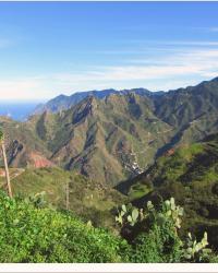 EXCURSIÓN A TABORNO