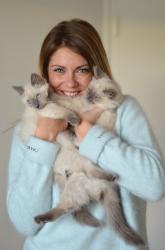 DIY Niveau Chaton