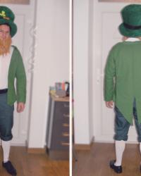 Un leprechaun à la maison