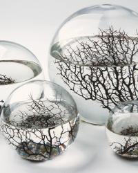 Envie du moment : EcoSphere