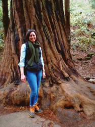 Day Trip: Muir Woods